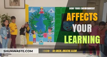 Surroundings Shape Success: How Your Environment Impacts Learning Outcomes