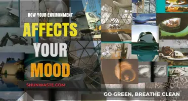 Surroundings Shape Emotions: How Your Environment Influences Your Mood