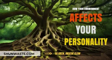Surroundings Shape Selves: Unveiling Environment's Impact on Personality Traits
