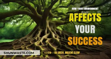Surroundings Shape Success: How Your Environment Influences Achievement