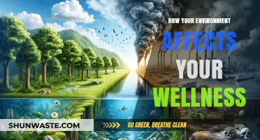Surroundings Shape Wellness: How Your Environment Impacts Mind and Body