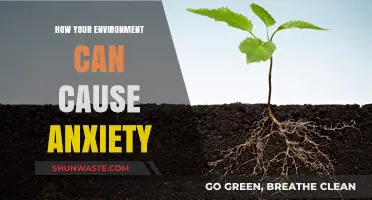 Surroundings and Stress: How Your Environment Triggers Anxiety