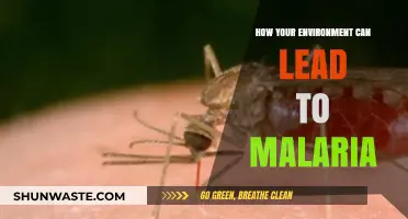 Malaria's Hidden Trigger: How Your Surroundings Fuel the Disease