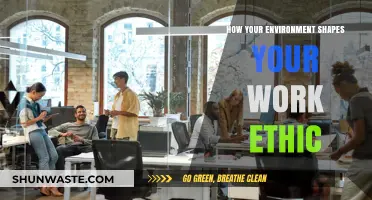 Surroundings Matter: How Your Environment Sculpts Your Work Ethic