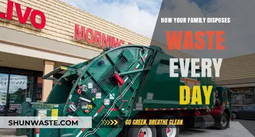 Daily Waste Disposal Habits: How Your Family Impacts the Environment