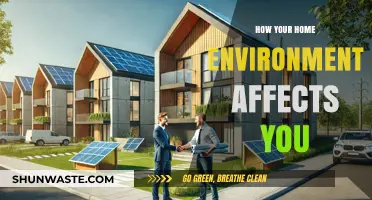 Home Environment Impact: Shaping Your Mood, Health, and Productivity Daily