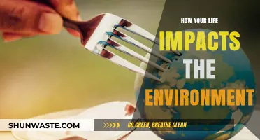 Daily Choices, Global Echoes: How Your Life Shapes the Environment