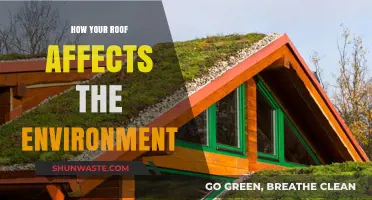 Eco-Friendly Roofing: How Your Roof Impacts the Environment