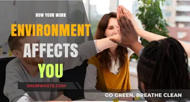 Your Workspace, Your Well-Being: How Environment Shapes Productivity and Mood