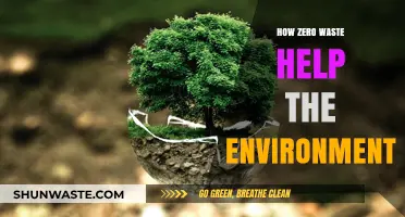 Zero Waste Living: Transforming Habits to Protect Our Planet
