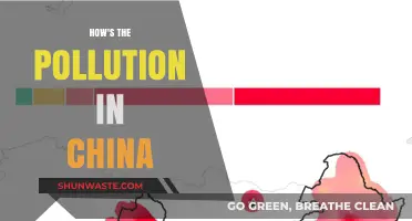 China's Pollution Crisis: A Comprehensive Overview
