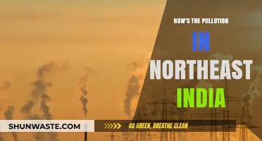 Northeast India's Pollution: A Regional Crisis