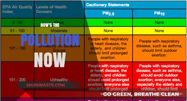 The Pollution Problem: A Current Affair