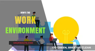 Exploring the Work Environment: Culture, Productivity, and Employee Satisfaction