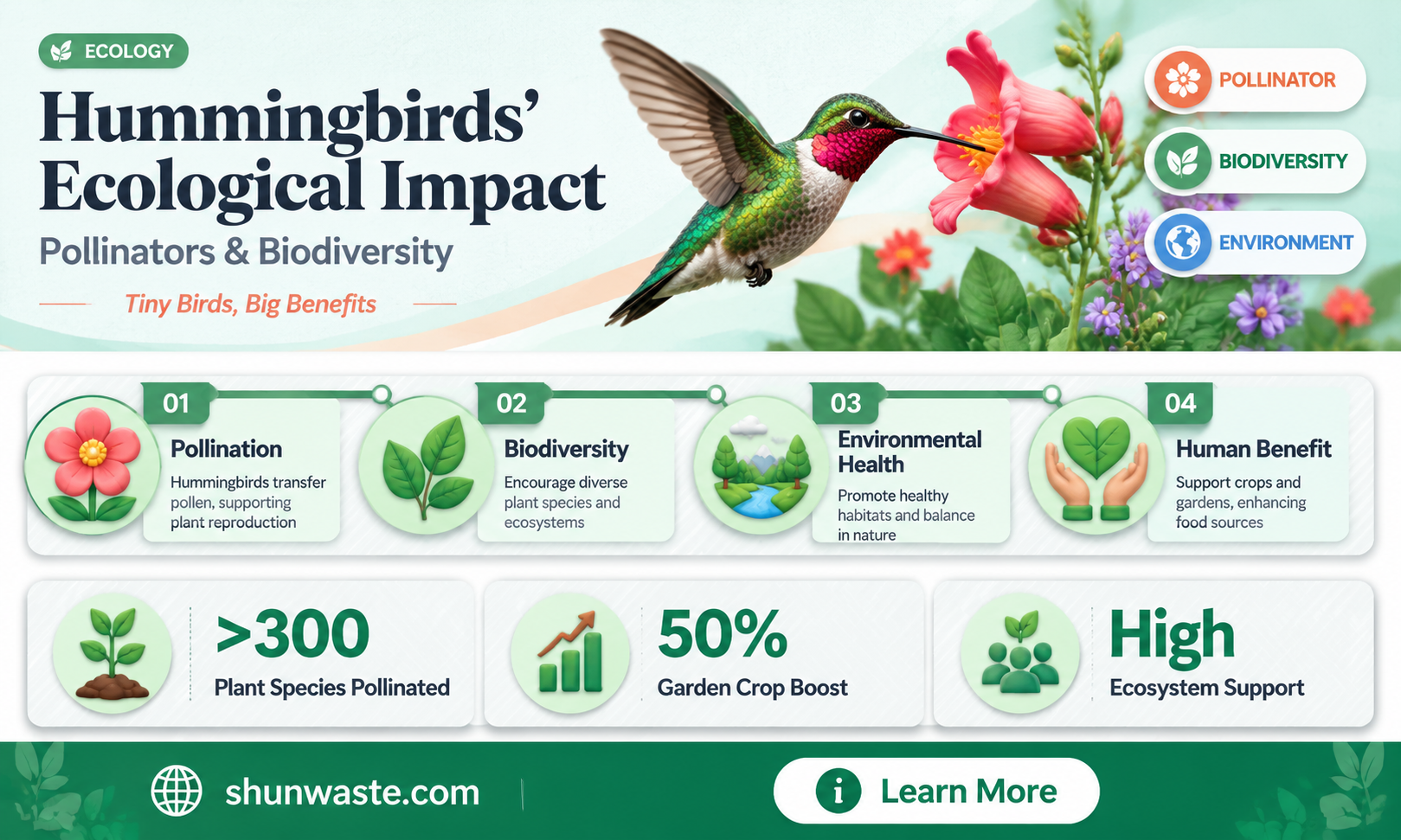are hummingbirds good for the environment
