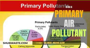 Understanding Primary Air Pollutant: Is O3 One?