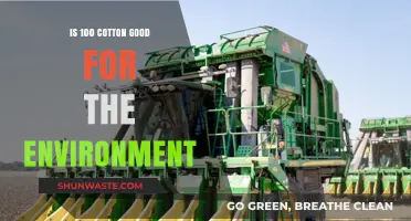 Cotton's Eco-Impact: Is 100% Cotton Sustainable for Our Planet?