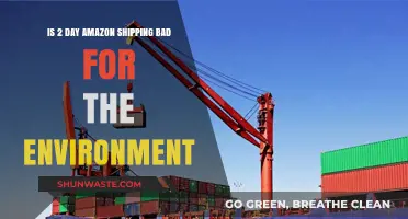 Two-Day Amazon Shipping: Environmental Impact and Sustainability Concerns