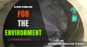 Is 2000 Flushes Harming Our Planet? Environmental Impact Explored