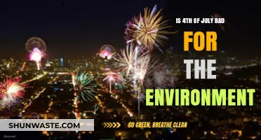 Environmental Impact of July 4th Celebrations: Fireworks, Waste, and Pollution