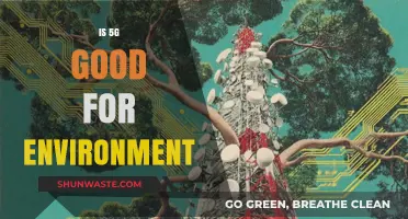 Is 5G Environmentally Friendly? Exploring Its Green Impact and Future