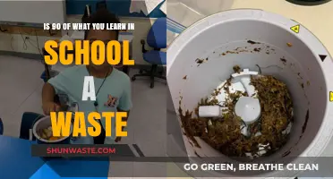 Is Most School Learning Useless? Debunking the 90% Waste Myth