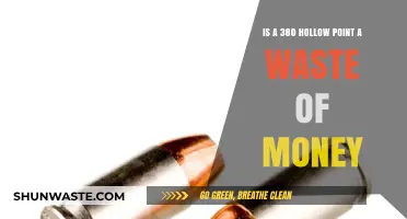 Is .380 Hollow Point Ammo Worth the Cost?