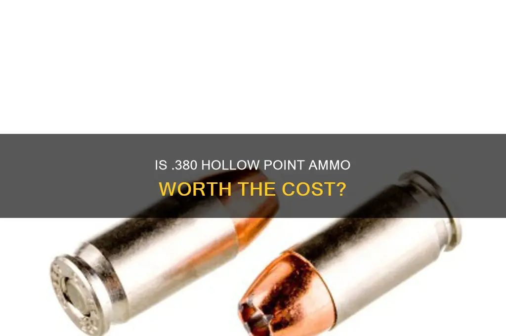 is a 380 hollow point a waste of money