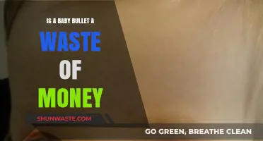 Is a Baby Bullet Worth It? Pros, Cons, and Alternatives