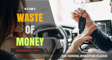 Is Owning a Car a Wise Investment or Financial Drain?