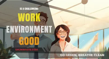 Challenging Work Environments: Boosting Growth or Hindering Productivity?