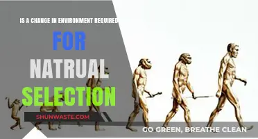 Does Natural Selection Demand Environmental Shifts for Species Evolution?