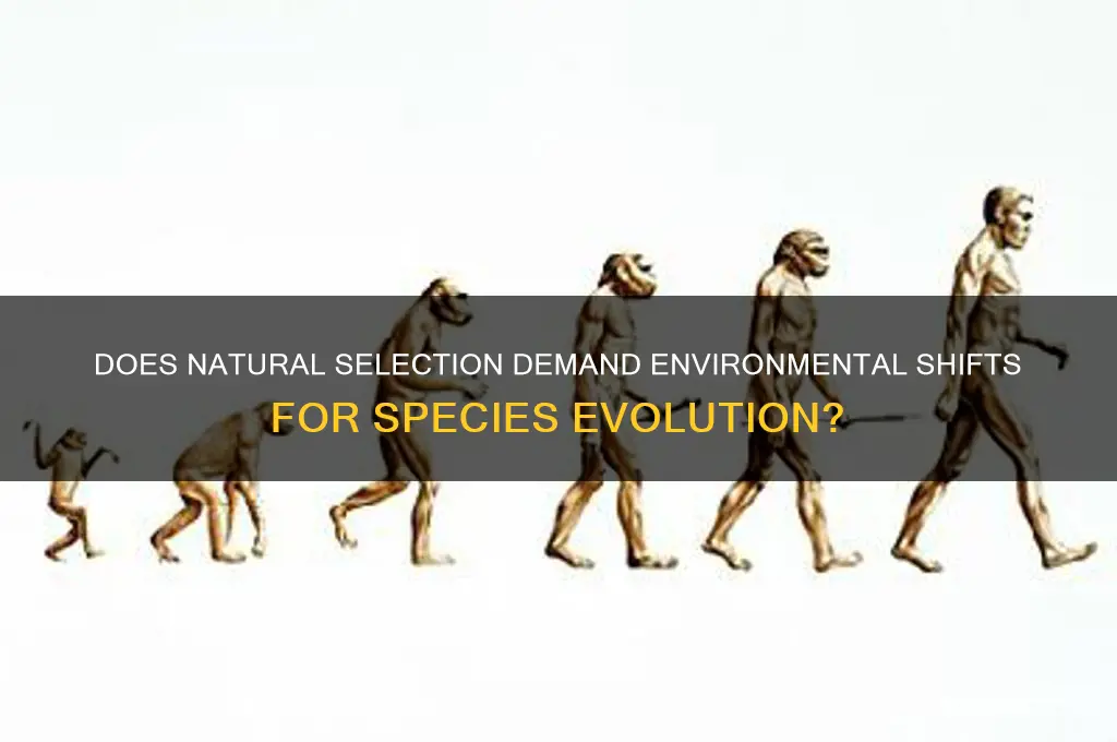 is a change in environment required for natrual selection