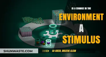 Environmental Shifts: Do They Act as Stimuli for Change?