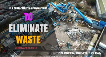 Waste Elimination: A Vital Sign of Life's Dynamic Processes