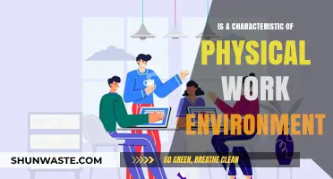 How Physical Work Environments Impact Employee Productivity and Well-being