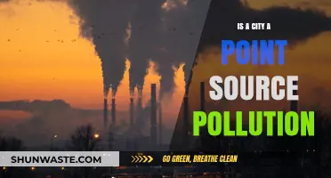 Urban Pollution: Point Source Problems