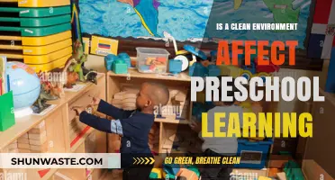 Clean Environments: Boosting Preschool Learning and Development Effectively