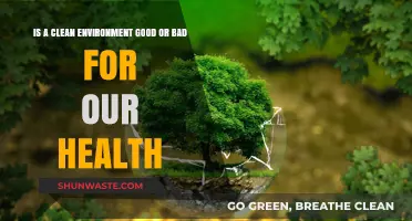 Clean Environments: Health Boon or Hidden Health Risk?