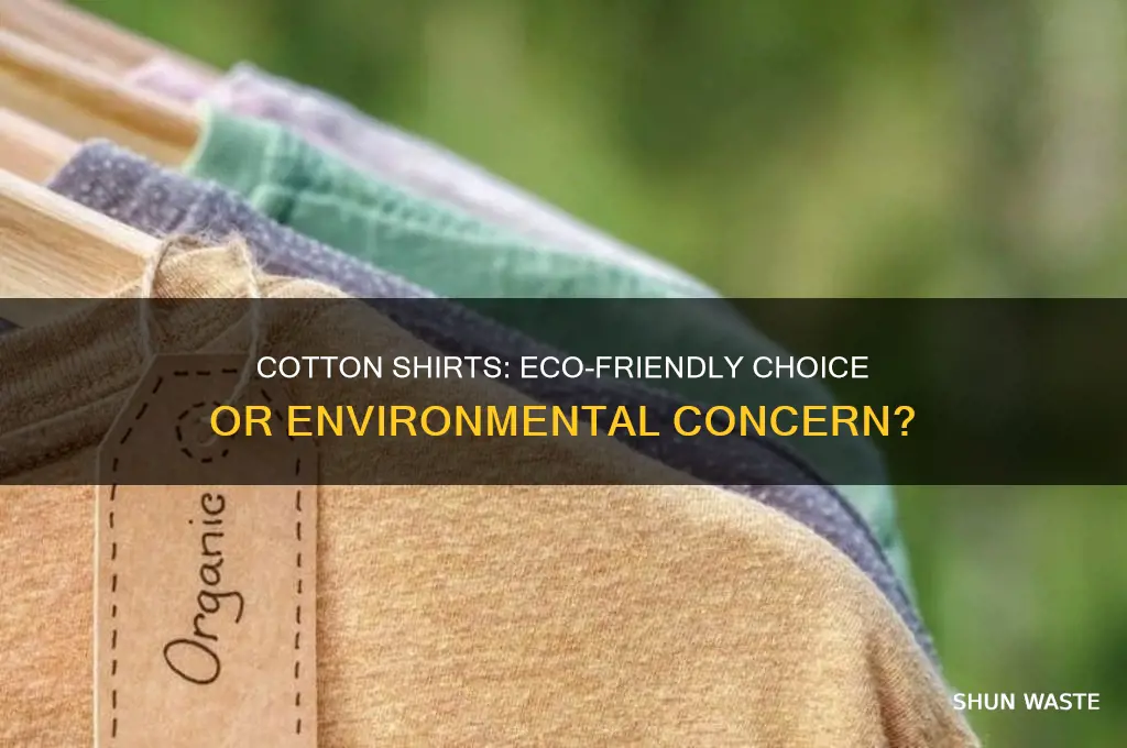 is a cotton shirt good for the environment