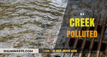 Creek Pollution: What's Harming Our Waterways?