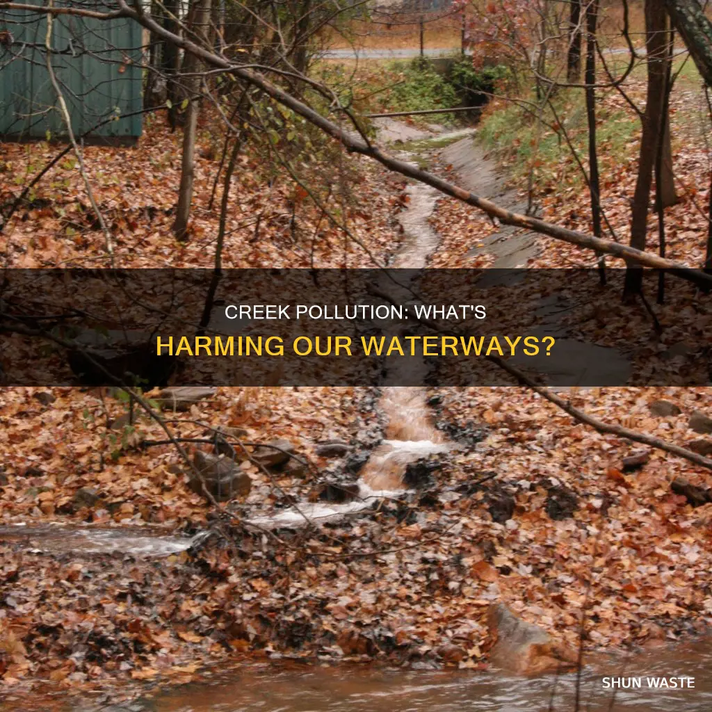 is a creek polluted