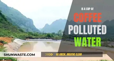 The Surprising Truth: Is Your Coffee Made from Polluted Water?