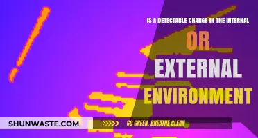Detecting Environmental Shifts: Internal and External Changes Explained