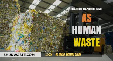 Dirty Diapers vs. Human Waste: Understanding the Key Differences