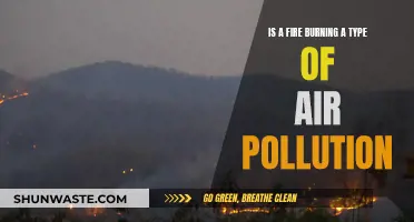 Fire Burning: Air Pollution or Natural Process?