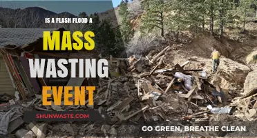 Flash Floods vs. Mass Wasting: Understanding the Key Differences