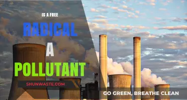 Free Radicals: Harmful Pollutants or Natural Body Invaders?