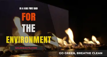Are Gas Fires Eco-Friendly? Environmental Impact Explained