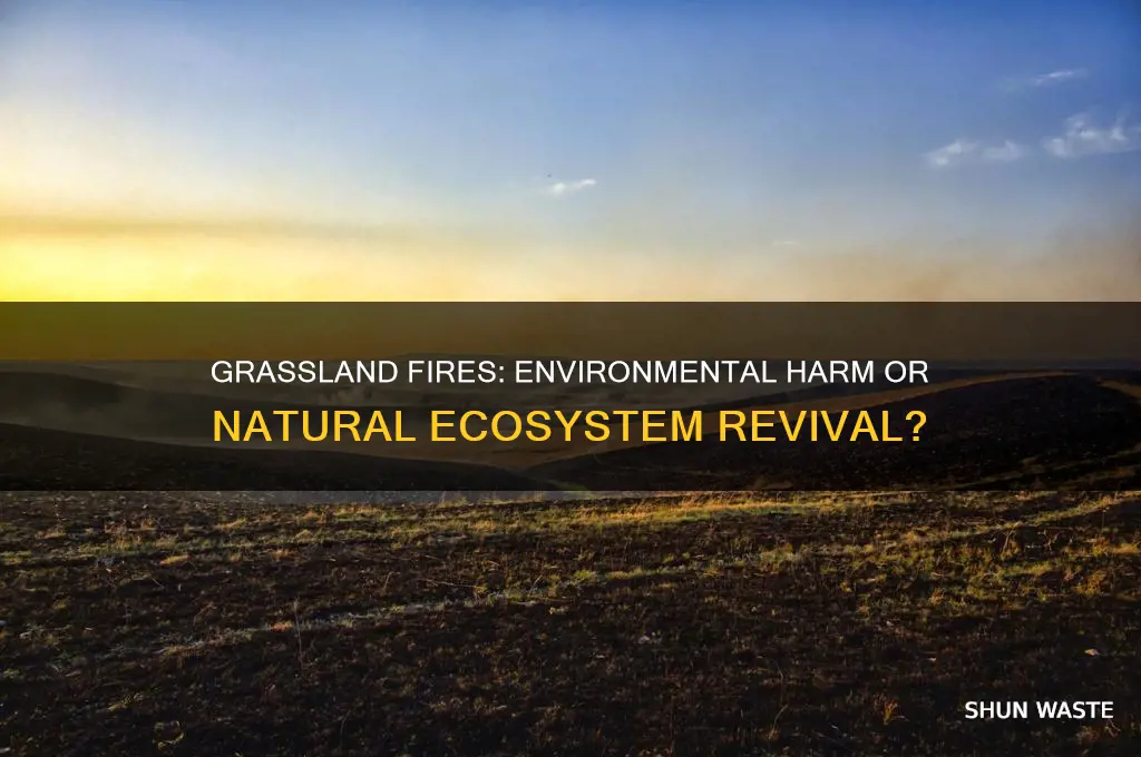 is a grassland fire bad for the environment